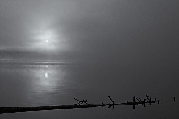 Winter's Light