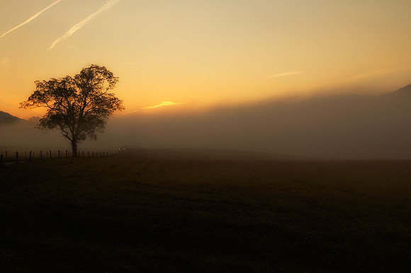 First Light in Cades Cove