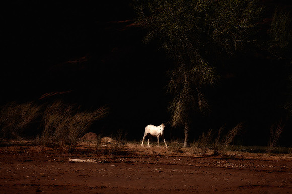 White Horse