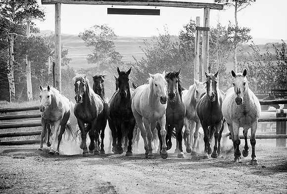 5399
