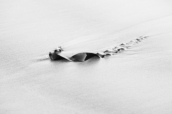 Drift Ashore