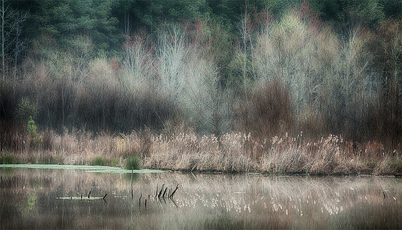 Sam's Lake 2