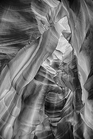 _MG_5219