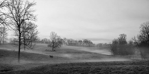 _MG_8184