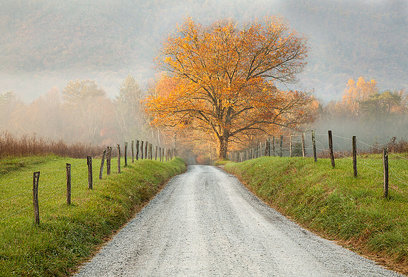 Autumn Splendor