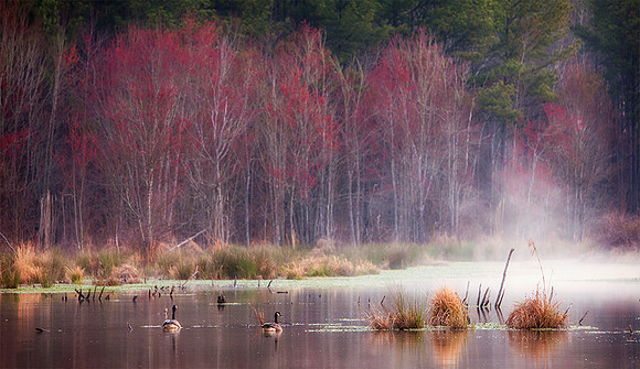 Sam's Lake 1