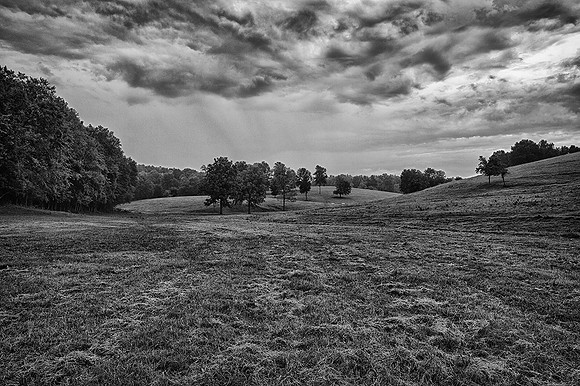 _MG_5267