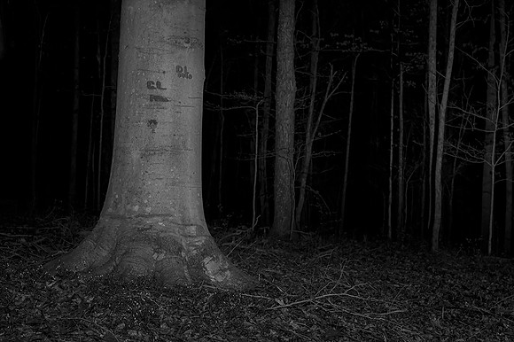 Initial Tree