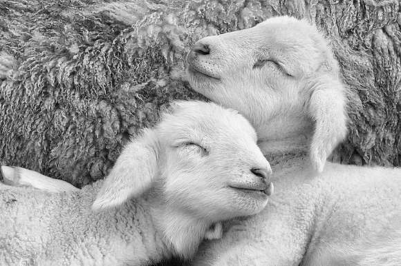 Sleeping