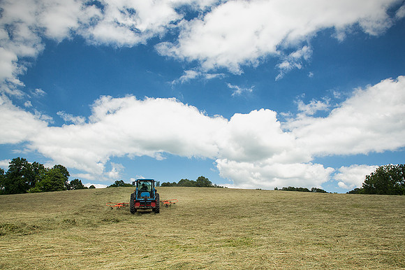 Hay Time