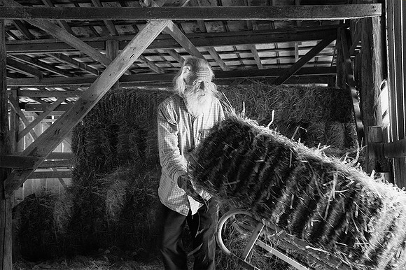 Stacking Hay