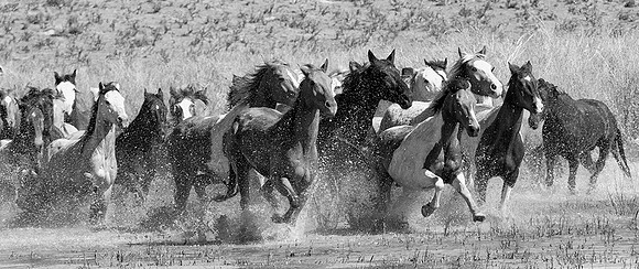 Water Crossing