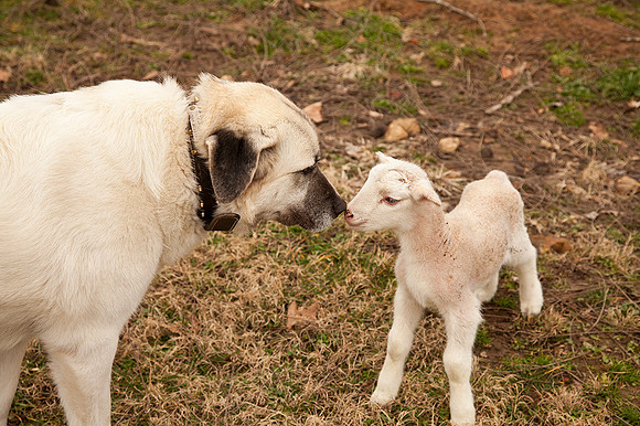 First Meeting