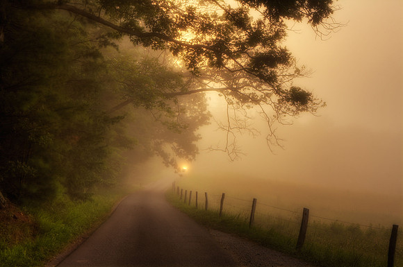Follow My Road