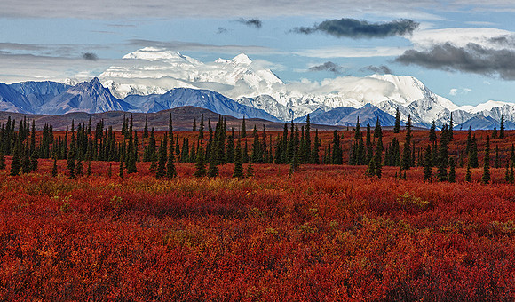 Denali