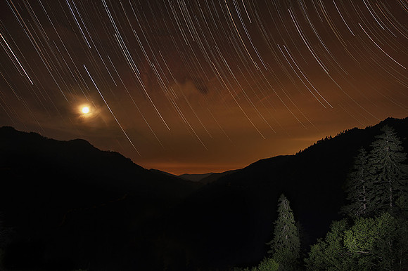 Reaching For The Stars