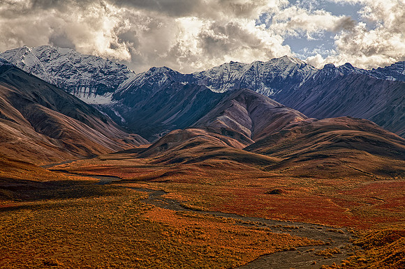 _MG_5962