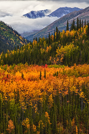 _MG_6712