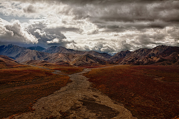 _MG_6313