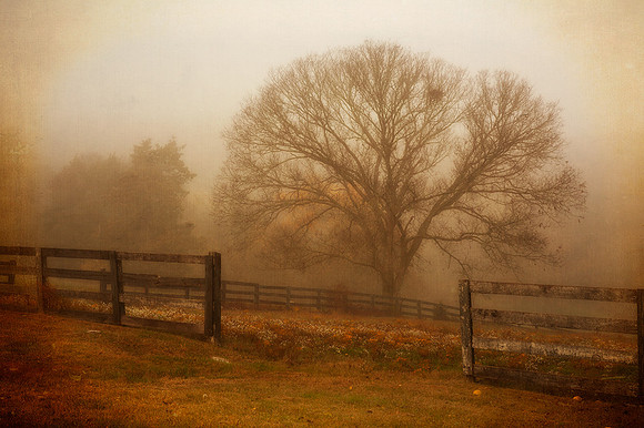 Ravenwood Farm